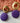 Caroline - purple gold stingray earrings