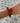 Béatrice - Raspberry elastic stingray bracelet