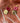 Liliana - Pink gold statement earrings