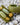 Aurora - Olive green statement earrings